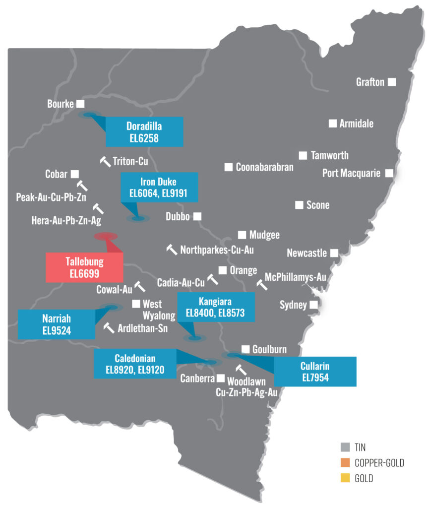 NSW Map Tallebung 2024
