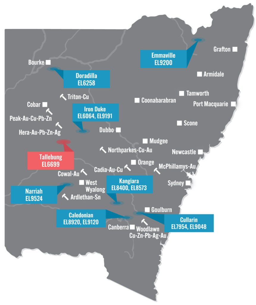 NSW Map Tallebung 2023